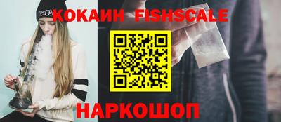 гидропоника Камышлов