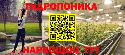 гидропоника Камышлов