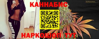 гидропоника Камышлов