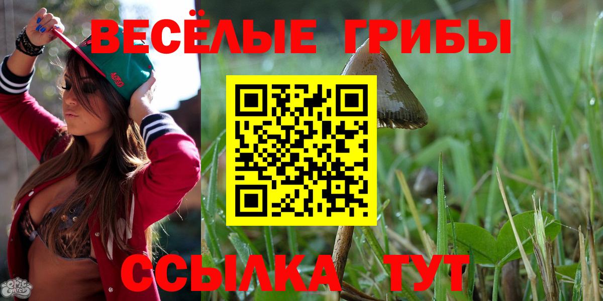 Псилоцибиновые грибы мухоморы Заволжье