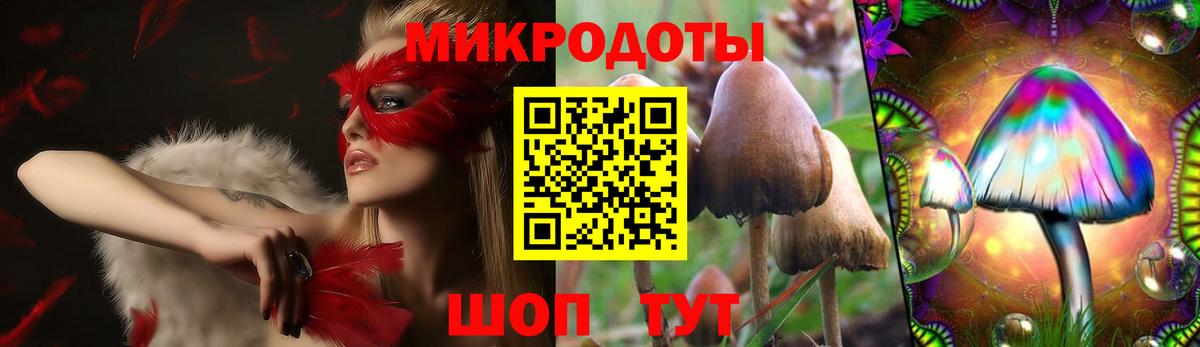 Галлюциногенные грибы Psilocybe  где найти наркотики  Псилоцибиновые грибы MAGIC MUSHROOMS  Заволжье  Вход с VPN 